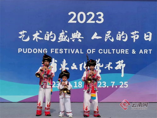 大理賓川 滬滇文化交流搭建民族團(tuán)結(jié)舞臺(tái)